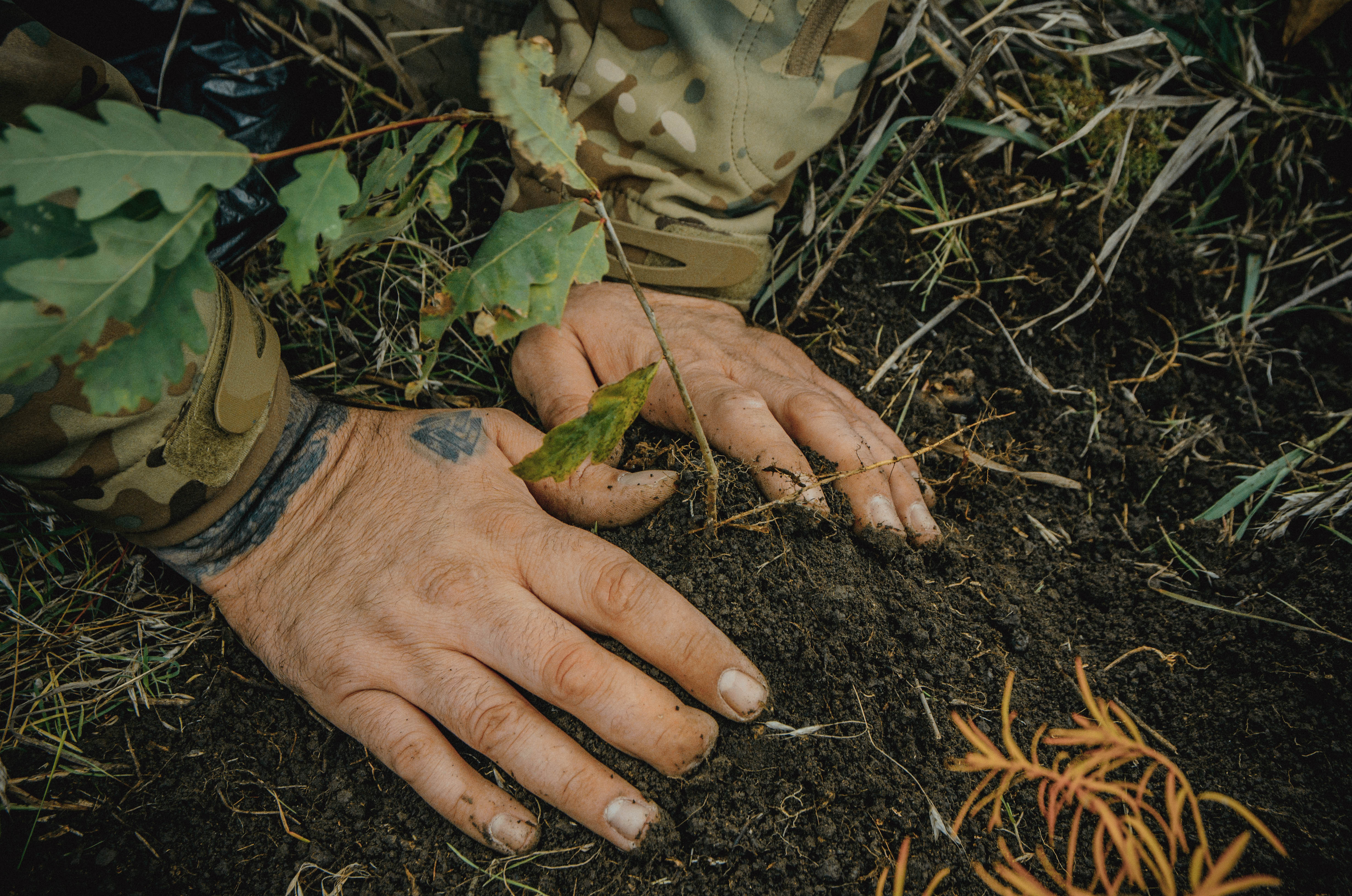 Початок «Шляху воїнів»